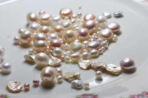 ジェイパールデザイナーズダイアリー : パールちゃんと学ぶ真珠の知識 